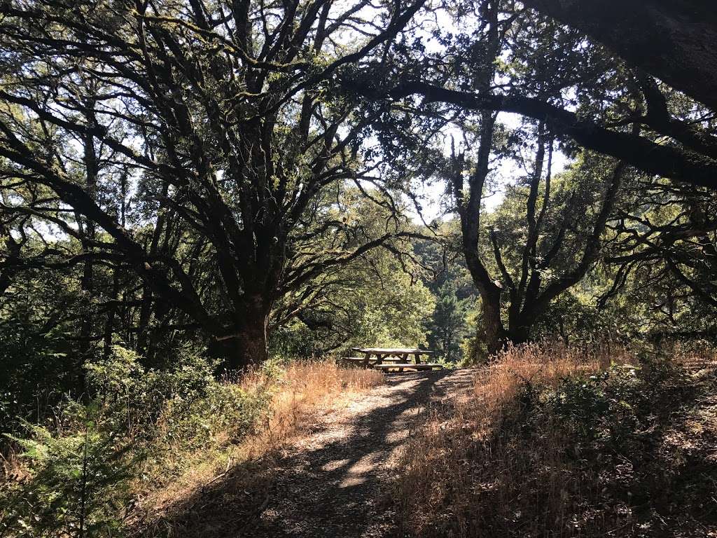 Horseshoe Lake | Los Gatos, CA 95033, USA