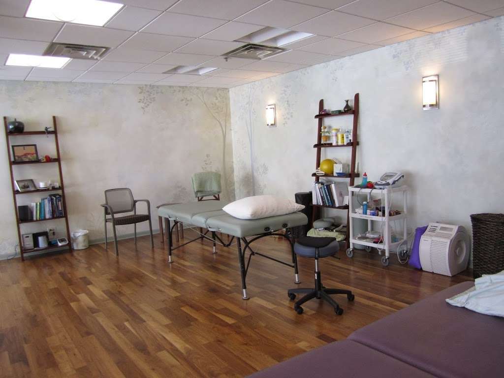 Healing Tree Physical Therapy & Wellness | 1100 Central Ave, Wilmette, IL 60091 | Phone: (847) 512-4070
