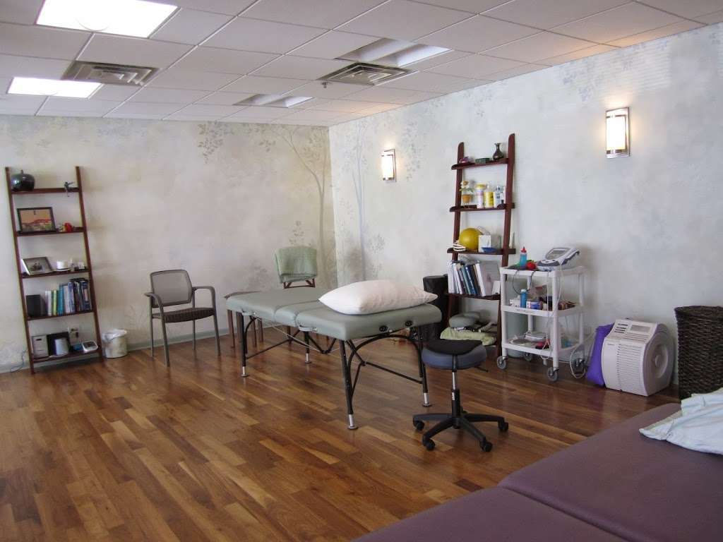 Healing Tree Physical Therapy & Wellness | 1100 Central Ave, Wilmette, IL 60091, USA | Phone: (847) 512-4070