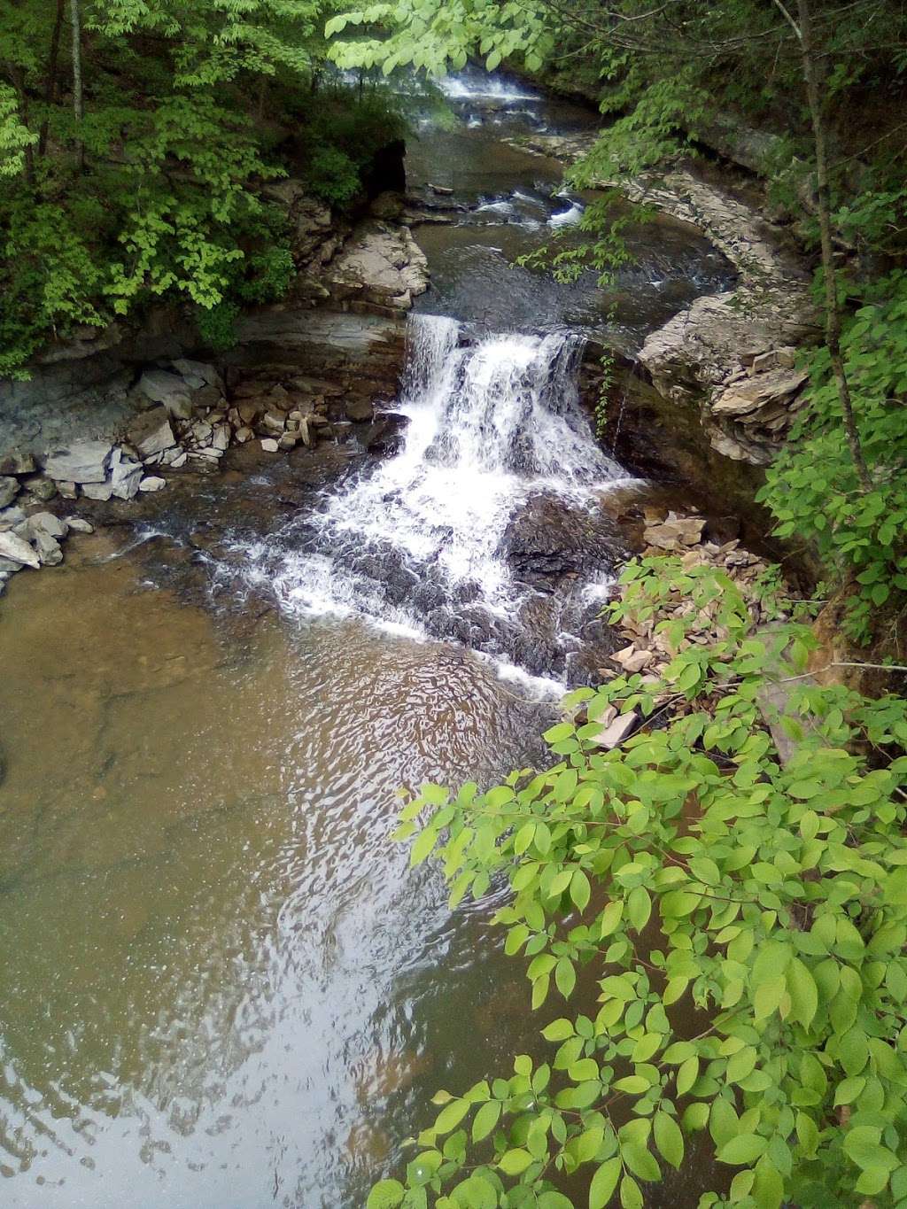 McCormick’s Creek Canyon Falls | Spencer, IN 47460