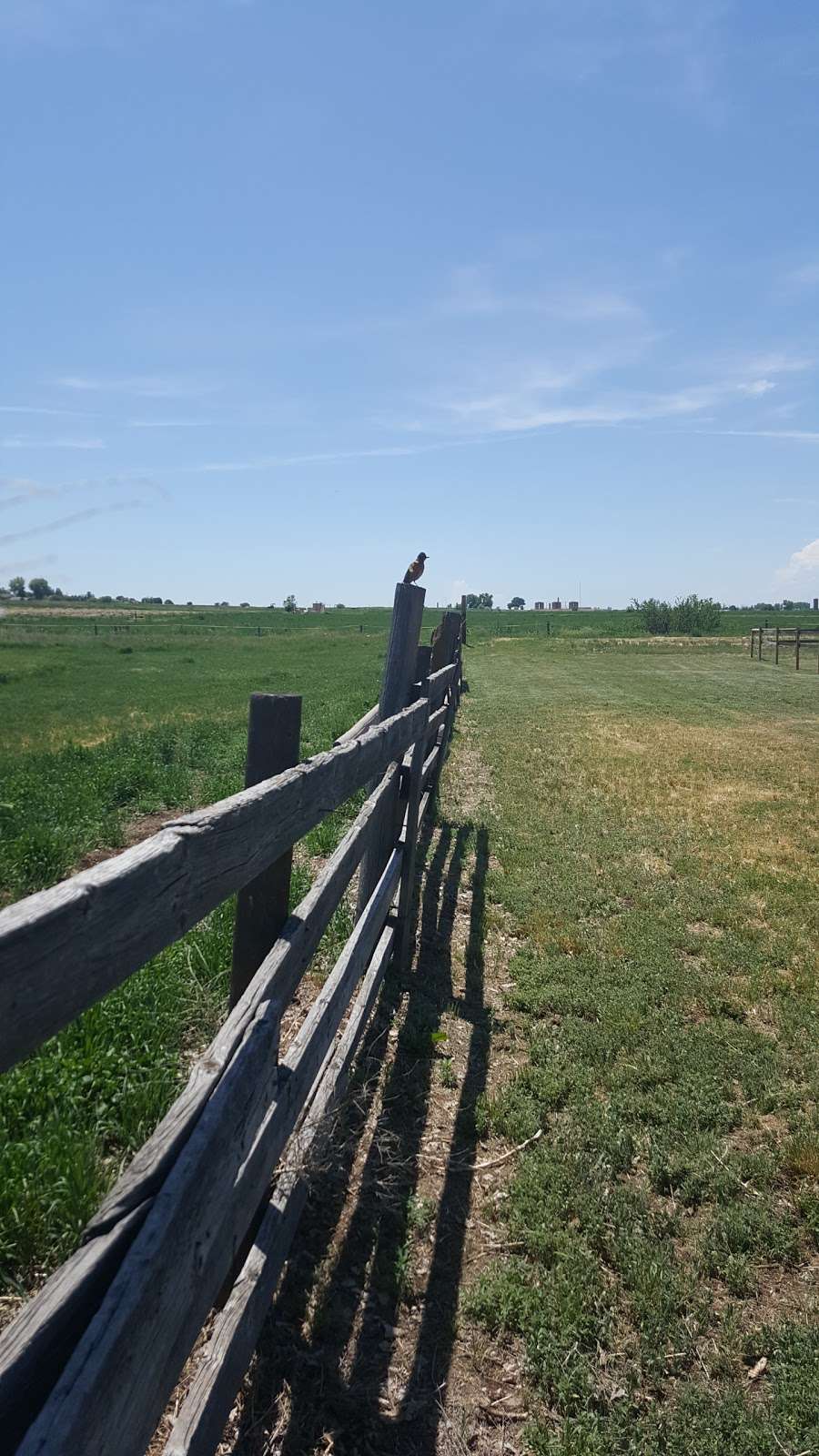 Rinn Valley Horse Farms | 3239-3275 Bella Rosa Pkwy, Longmont, CO 80504, USA