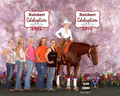 Buena Vida Ranch, Horse Boarding & Training | 1349 E Cleveland St, Hutchins, TX 75141, USA | Phone: (214) 552-6850