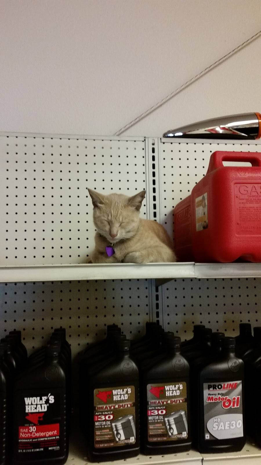 Auto Parts of Taft | 158 E Landstreet Rd, Orlando, FL 32824, USA | Phone: (407) 857-0042