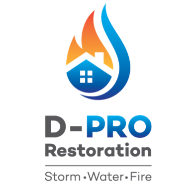 D-Pro Restoration | 1540 Hecht Dr K, Bartlett, IL 60103, USA | Phone: (872) 810-3776
