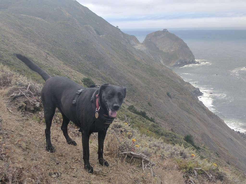 Pedro Point Headlands | Old Pacific Coast Highway Trail, Pacifica, CA 94044, USA | Phone: (650) 270-0433