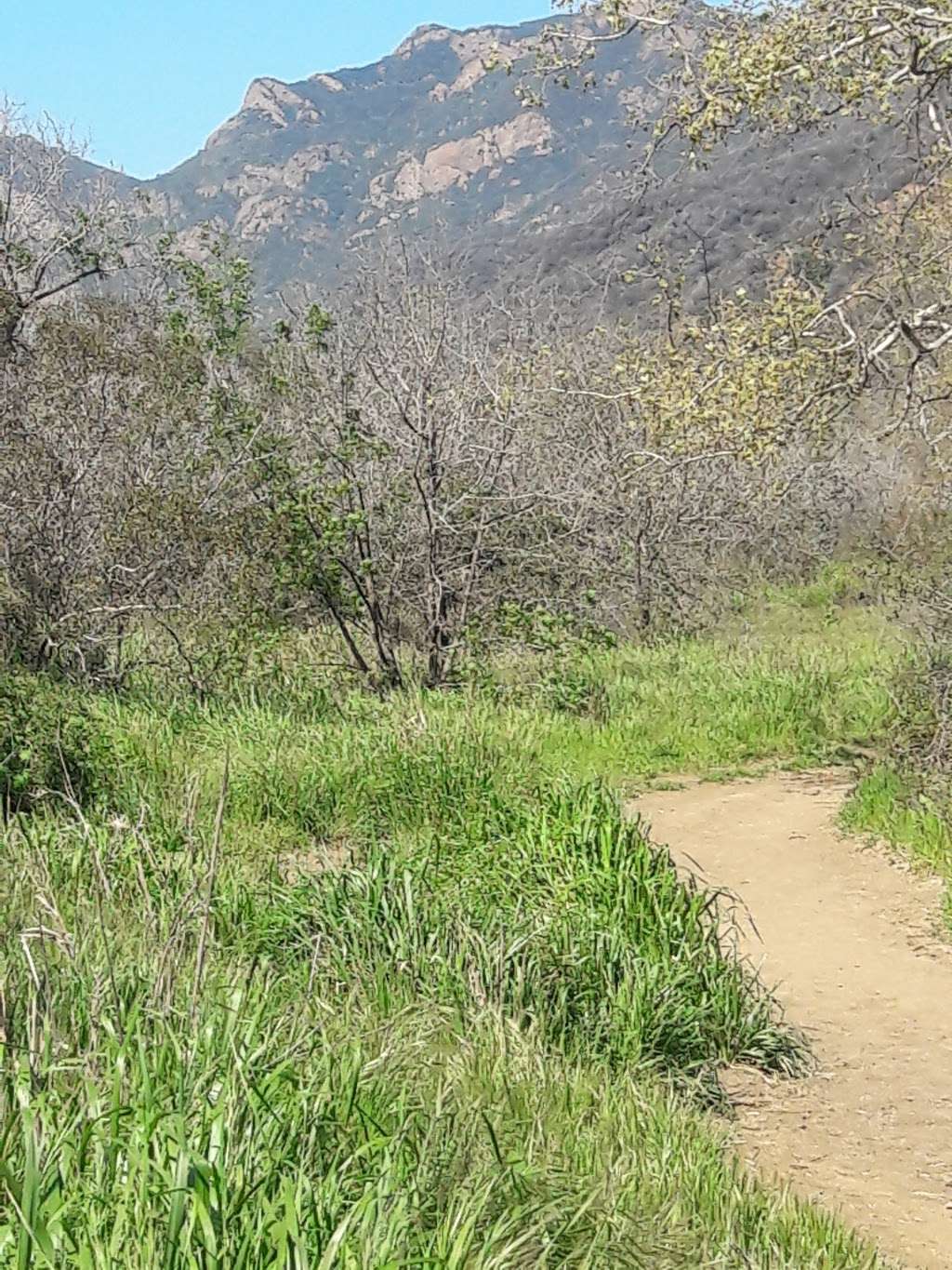 Zuma Canyon Trailhead | 5721 Bonsall Dr, Malibu, CA 90265, USA | Phone: (805) 370-2301