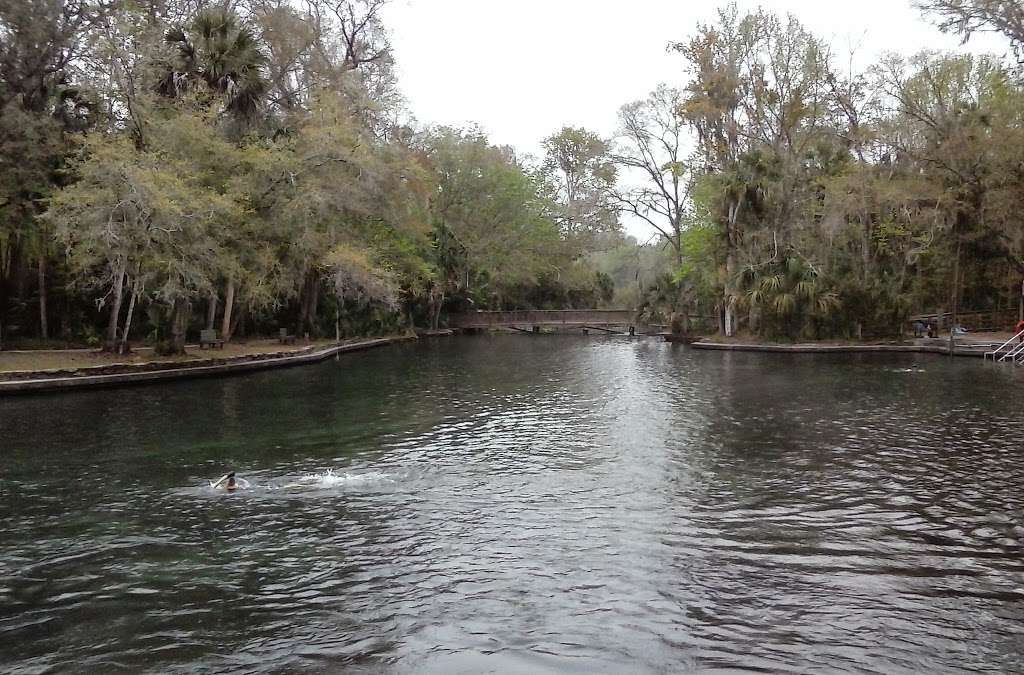 Spring Hammock Preserve | Sanford, FL 32773 | Phone: (407) 349-0769