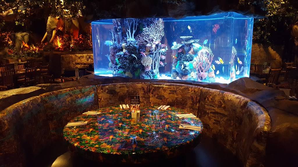 Rainforest Cafe | 5310 Seawall Blvd, Galveston, TX 77551, USA | Phone: (409) 744-6000