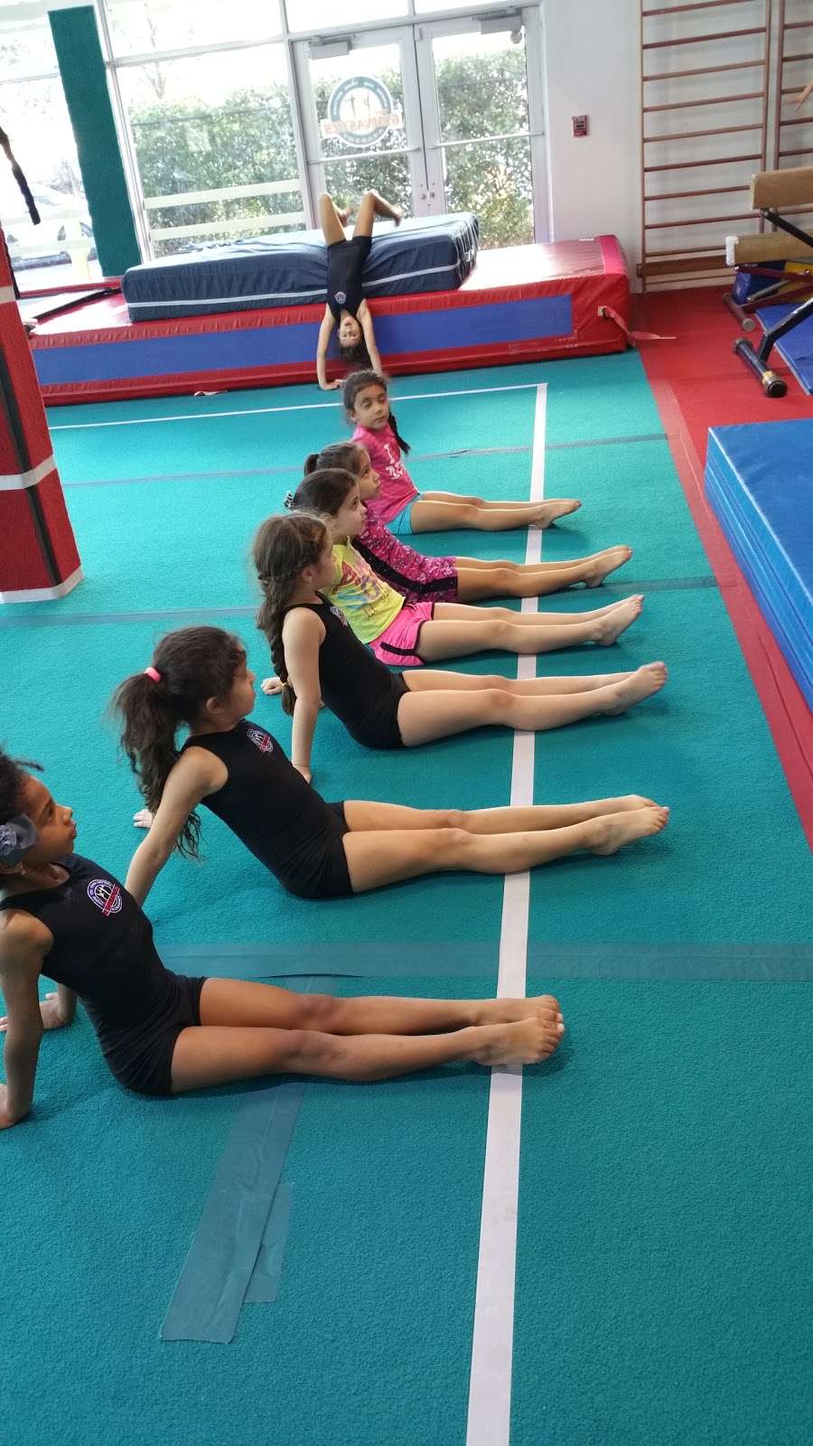 The Gymnastics Academy | 13954 SW 8th St, Miami, FL 33184, USA | Phone: (786) 577-0653