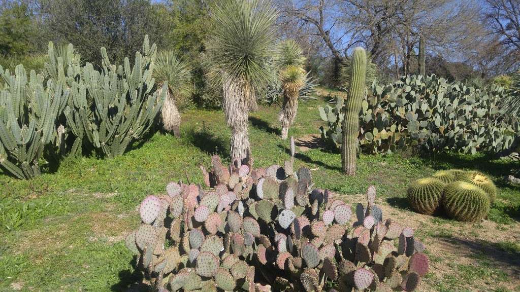 San Antonio Botanical Garden | 555 Funston Pl, San Antonio, TX 78209, USA | Phone: (210) 536-1400