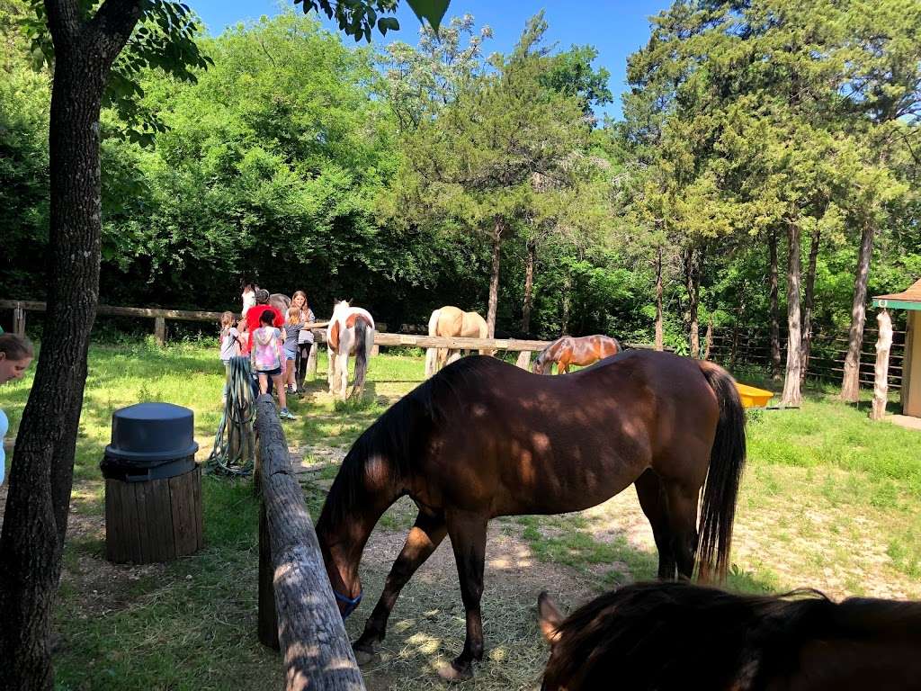 Ascend Horseback Riding | 5218 Kiwanis Rd, Dallas, TX 75236, USA | Phone: (469) 998-2267