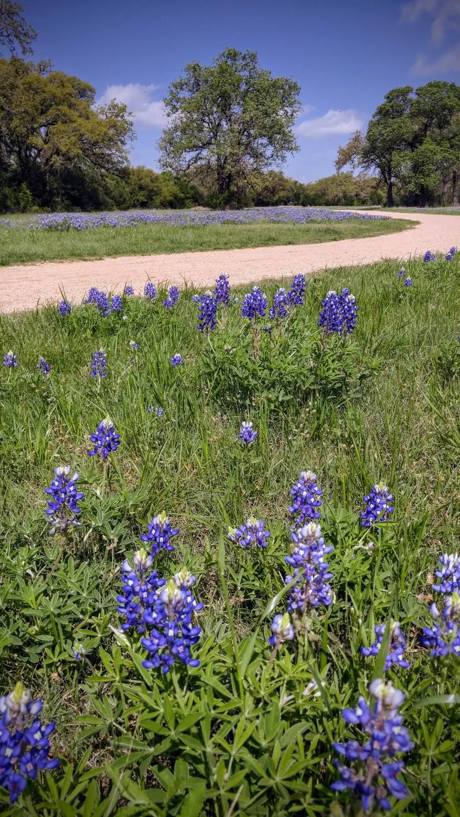 Circle C Ranch Metropolitan Park on Slaughter Creek | 6301 W Slaughter Ln, Austin, TX 78739, USA | Phone: (512) 974-6700