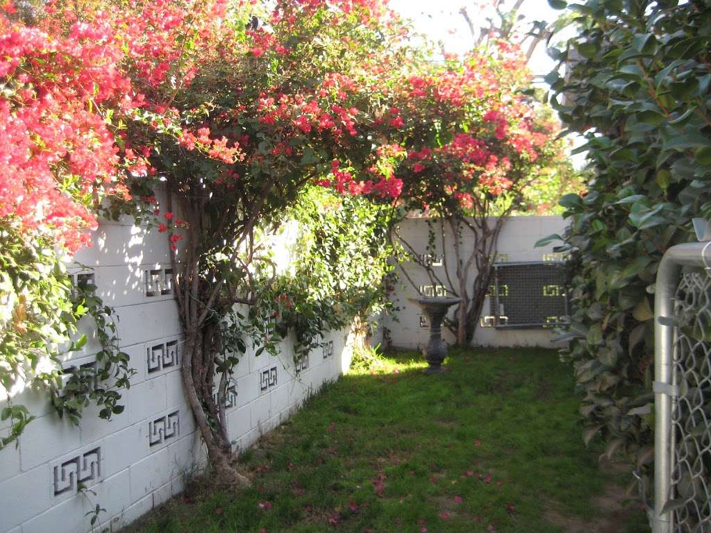 Monrovia Animal Medical Center | 1128 S Myrtle Ave, Monrovia, CA 91016, USA | Phone: (626) 358-1146