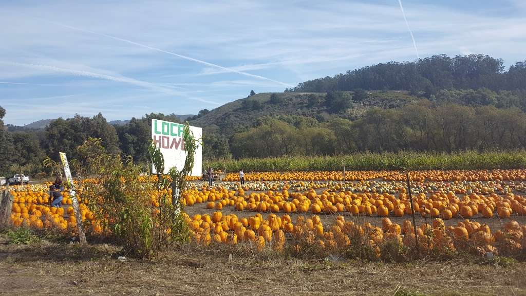 Half Moon Bay Nursery 11691 San Mateo Rd, Half Moon Bay, CA 94019