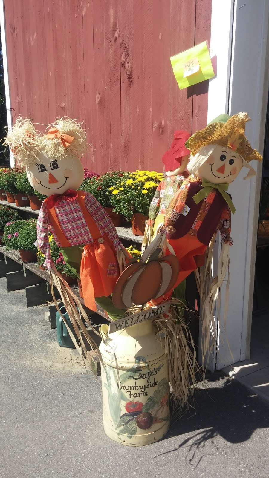 Saja Farm | 403 Parker Rd, Dracut, MA 01826, USA | Phone: (978) 454-7252