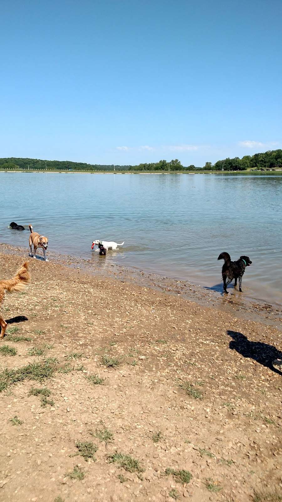 Shawnee Mission Park Dog Off-Leash Area | 7900 Renner Road, Shawnee, KS 66219 | Phone: (913) 888-4713