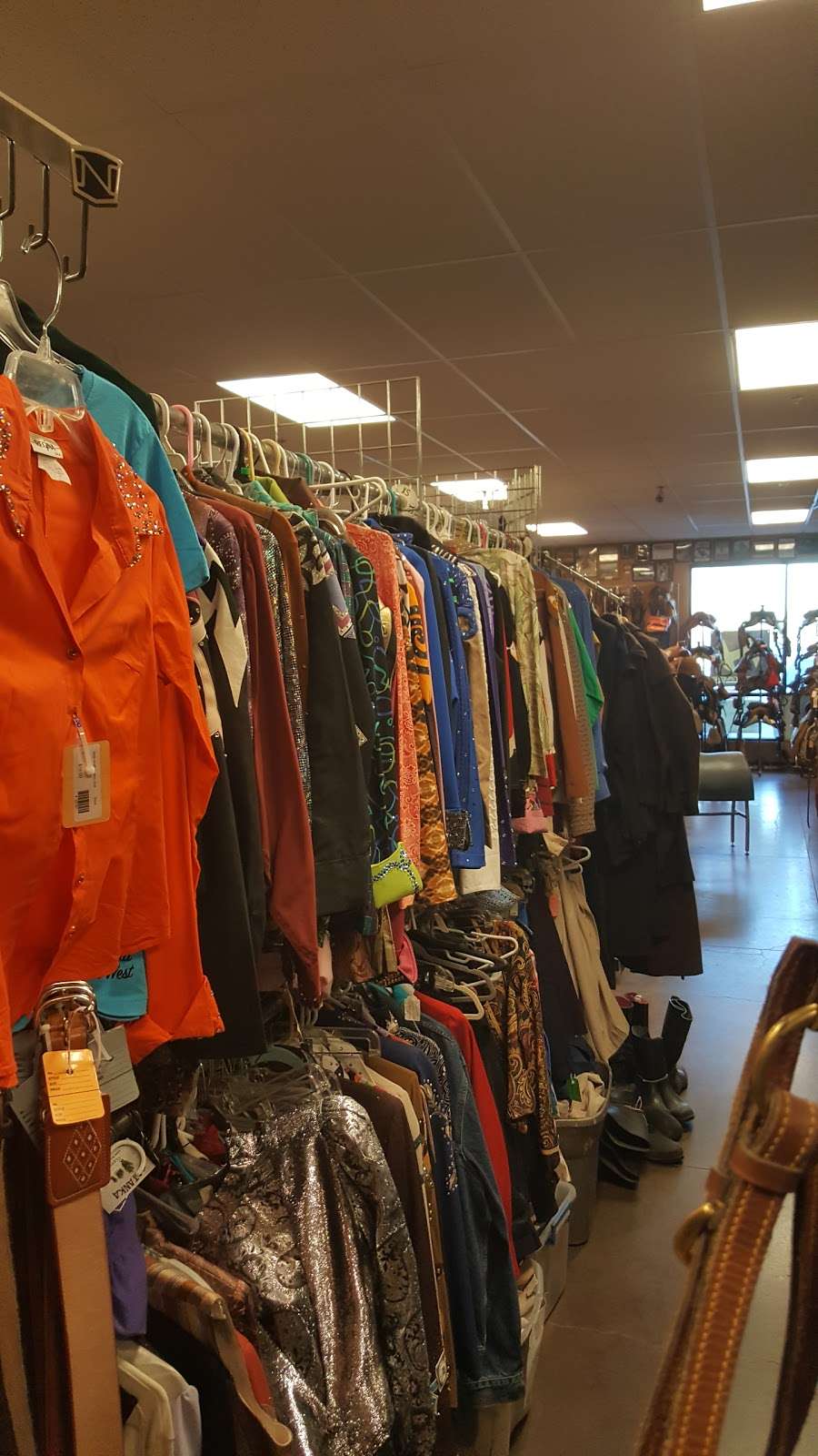 Thrifty Horse | 960 Sixth St # 103B, Norco, CA 92860 | Phone: (951) 280-0294