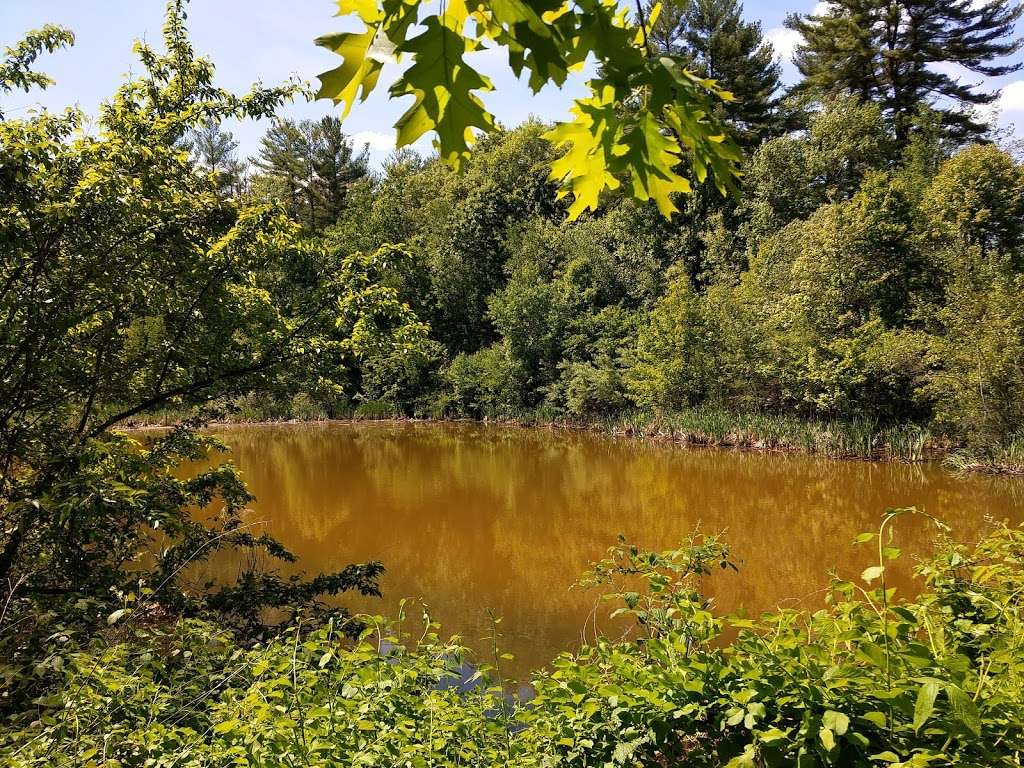 Fort Pond Brook | Littlefield Rd, Boxborough, MA 01719, USA