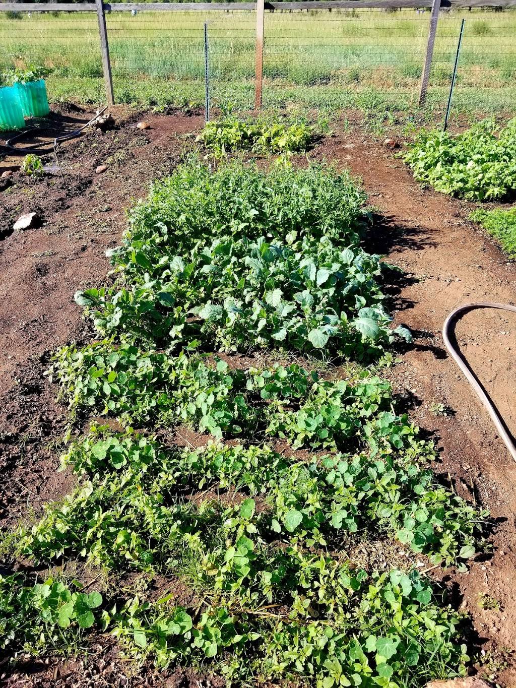 Charmaine Nymann Community Garden at Bear Creek Regional Park | Creek Crossing St, Colorado Springs, CO 80905 | Phone: (719) 634-4433