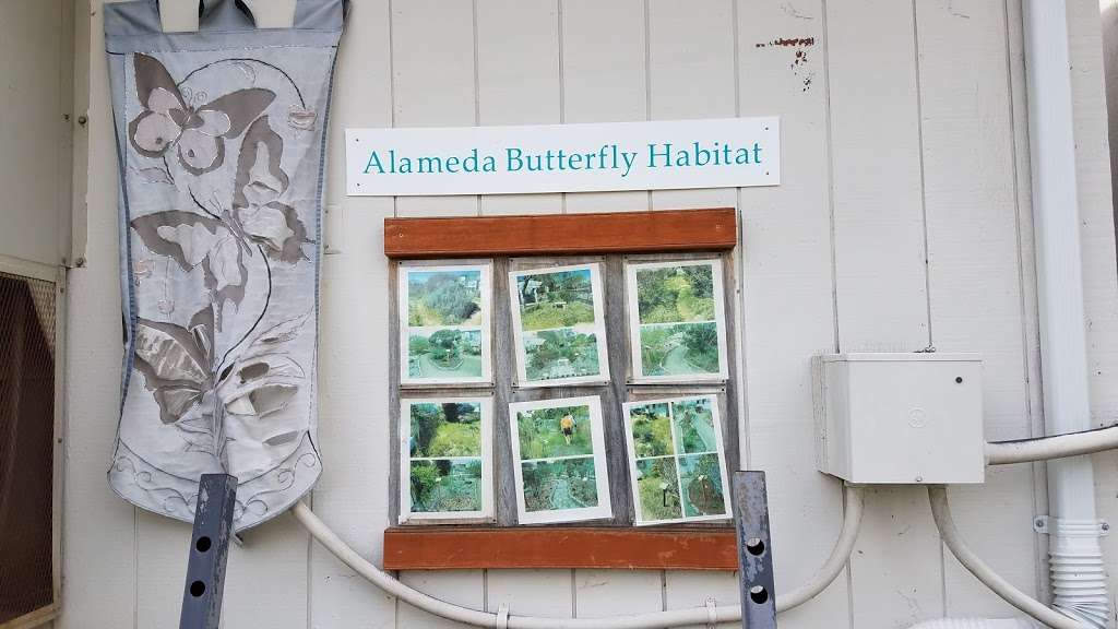 Alameda Butterfly Habitat | Aughinbaugh Way, Alameda, CA 94502