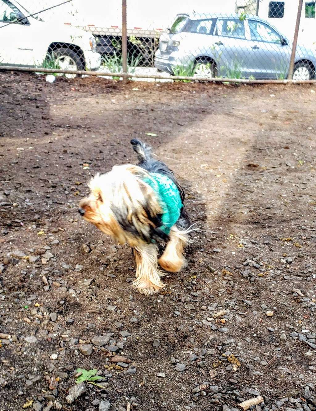 Underbridge Dog Run | 64th Ave. &, Grand Central Pkwy, Forest Hills, NY 11375