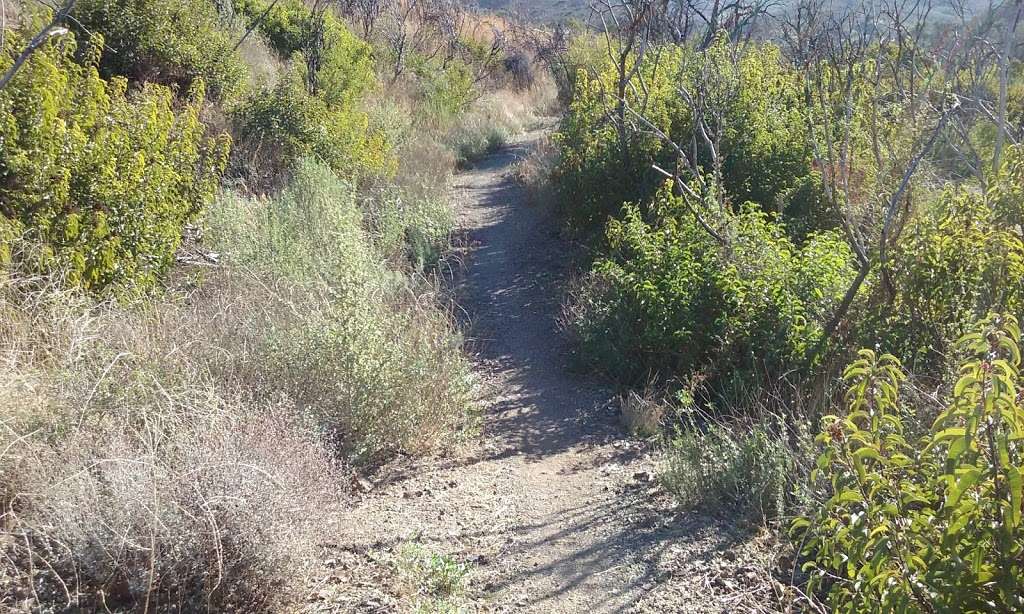 Boney Mountains State Wilderness Area | 9000 Coast Hwy, Malibu, CA 90265 | Phone: (310) 457-8143