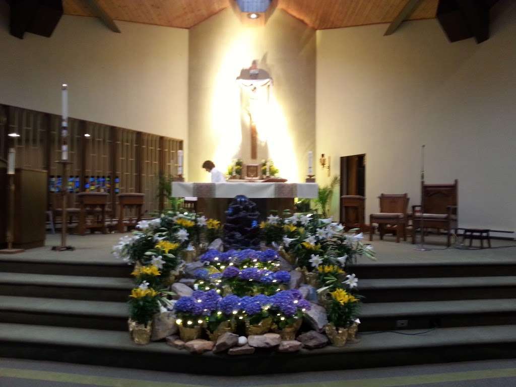 Our Lady of the Immaculate Conception | 898 Centre St, Freeland, PA 18224, USA | Phone: (570) 636-3035