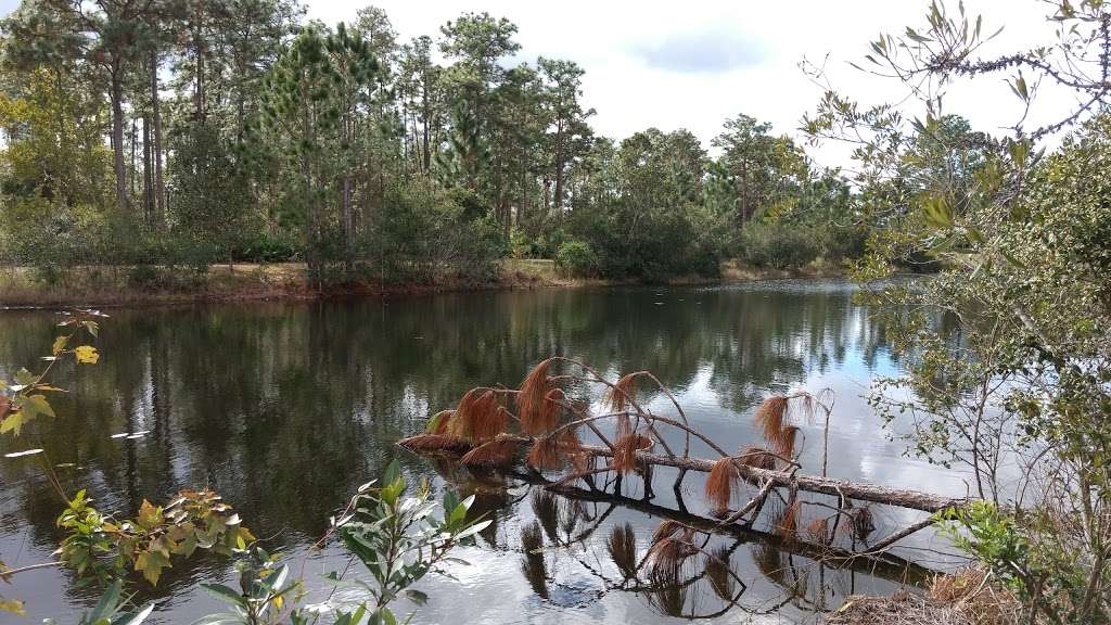 University of Central Florida Arboretum | Wildflower Loop, Orlando, FL 32826, USA