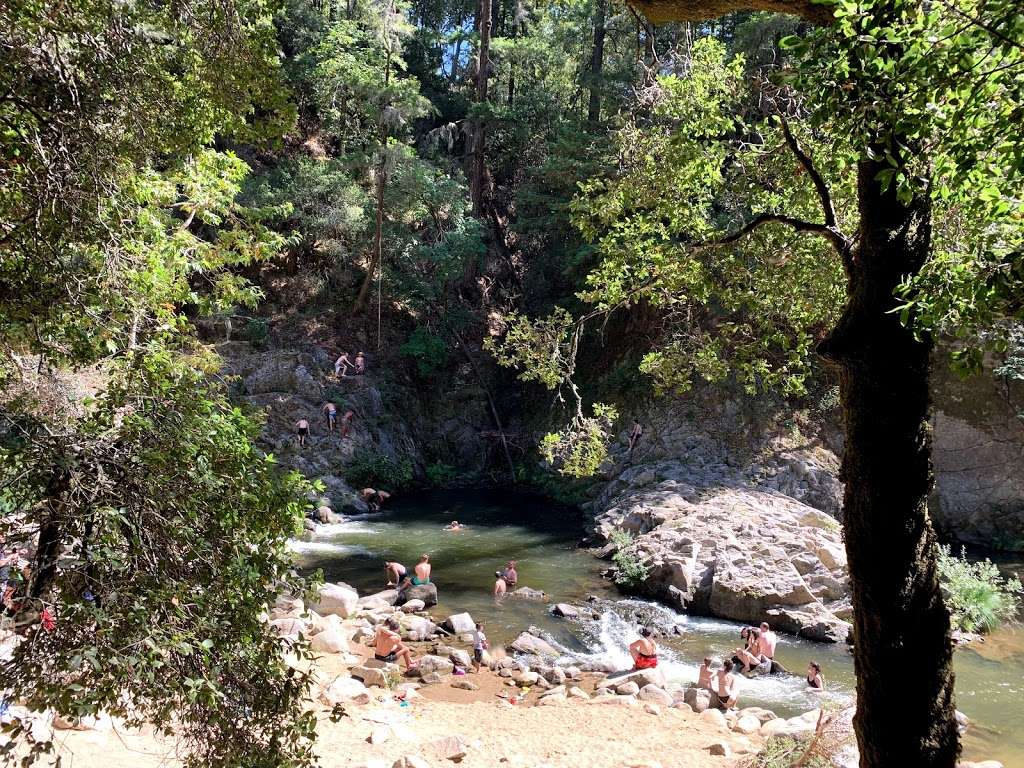 Garden Of Eden Henry Cowell Redwood State Park Ca 9 Felton