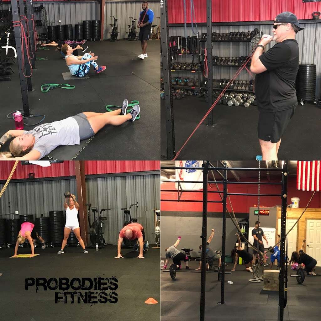 ProBodies Elite | 1018 Sawdust Rd 19,20 & 21, The Woodlands, TX 77380, USA | Phone: (832) 510-4057