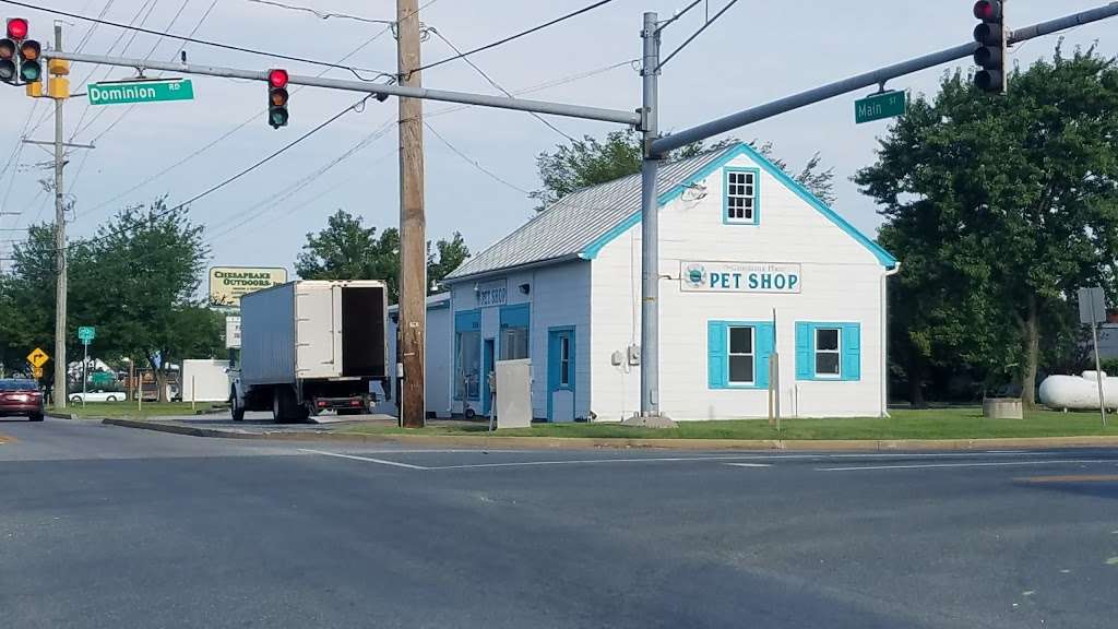 The Grooming Place Pet Shop | 1713 Main St, Chester, MD 21619, USA | Phone: (410) 643-8760