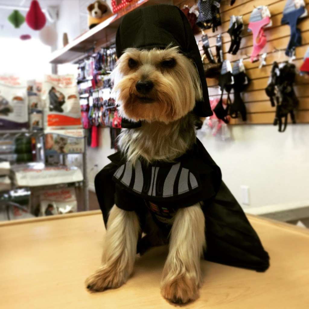 Pets Choice Grooming & Supply | 4300 Green River Rd #114, Corona, CA 92880, USA | Phone: (951) 272-5716