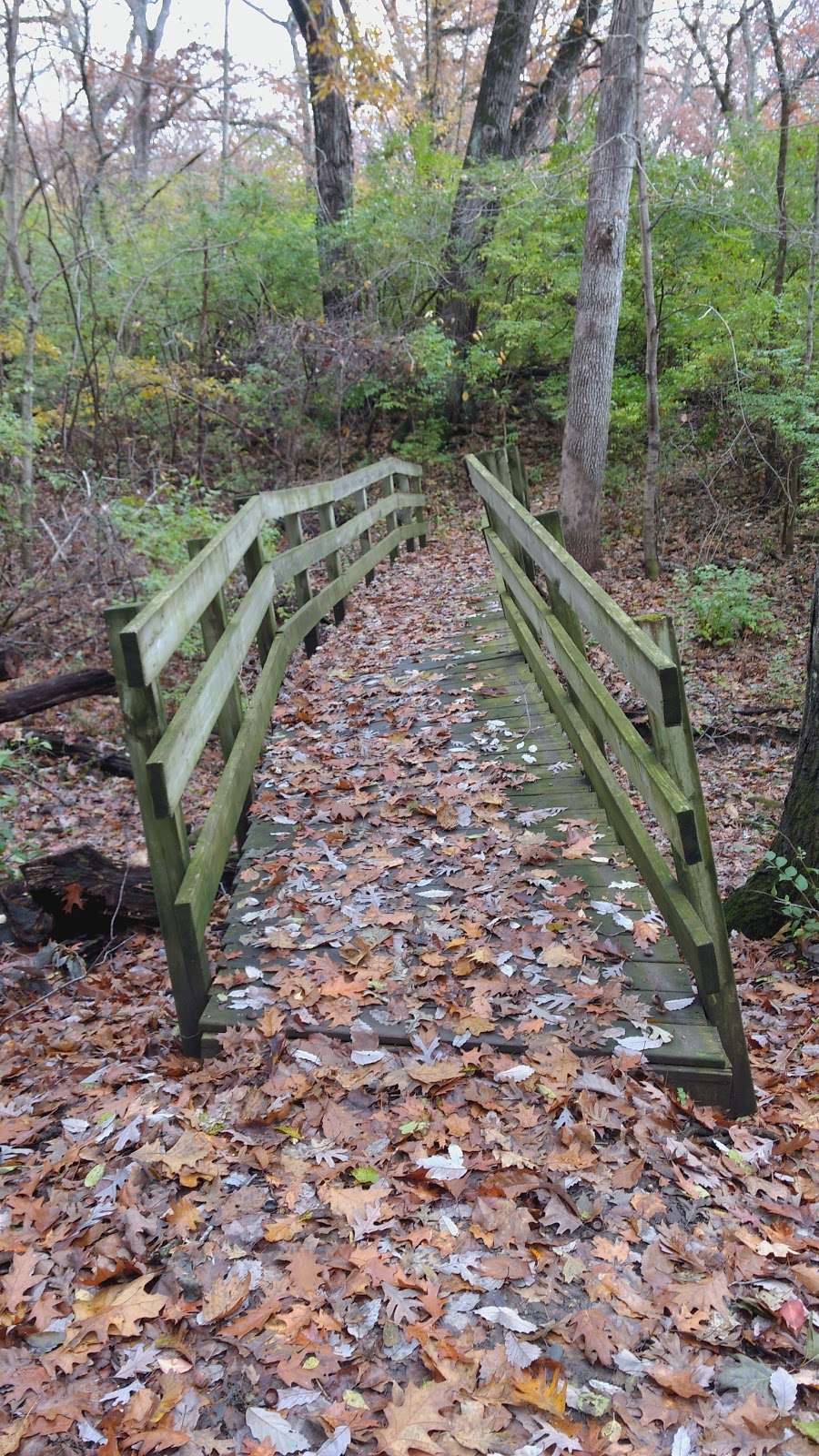 Kankakee State Park North Loop | Unnamed Road, Bourbonnais, IL 60914, USA