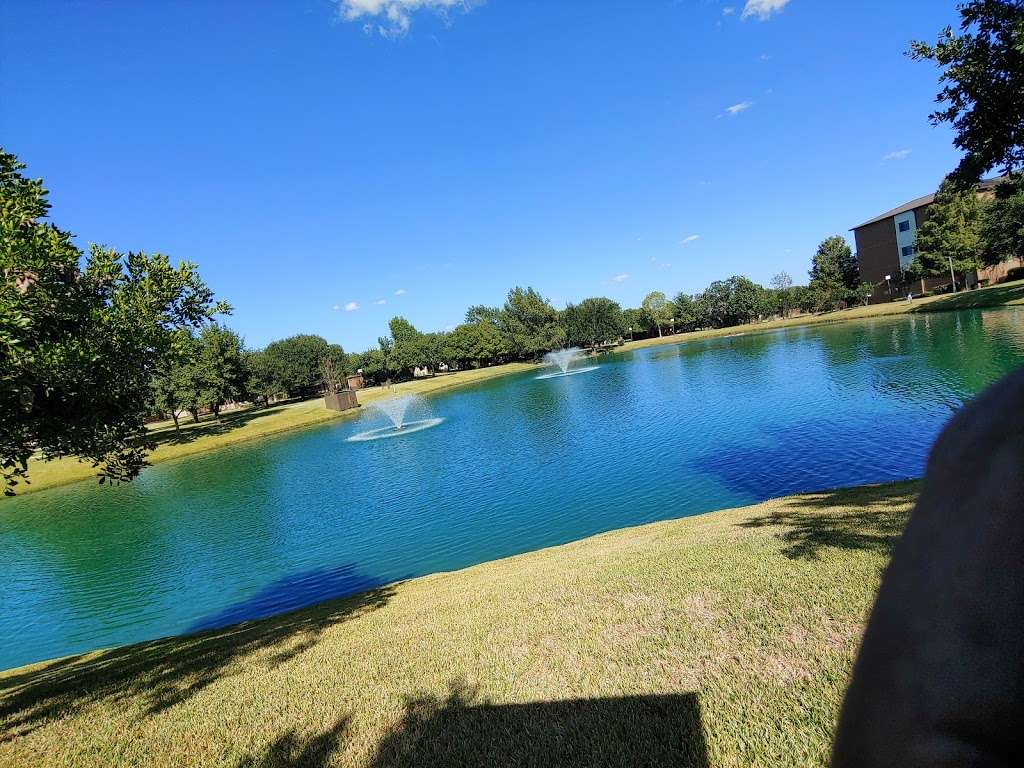 Blue Skies of Texas | 5100 John D Ryan Blvd, San Antonio, TX 78245, USA | Phone: (210) 677-8666