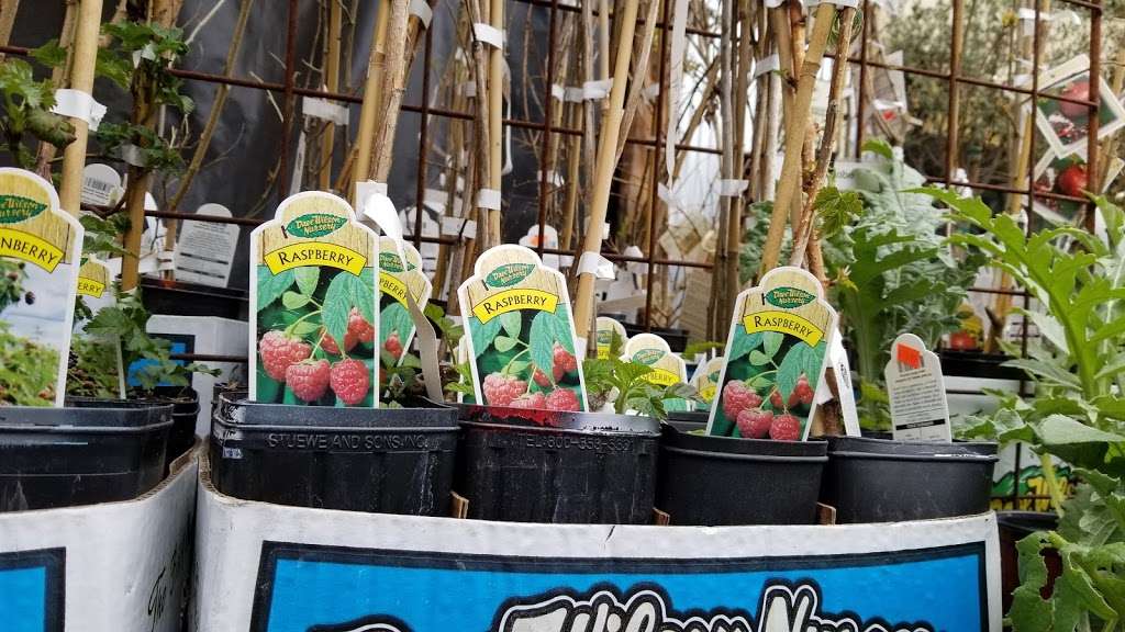 Mountain Feed & Farm Supply | 9550 CA-9, Ben Lomond, CA 95005, USA | Phone: (831) 336-8876