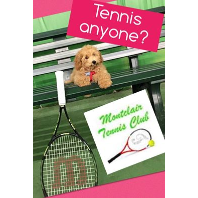 Montclair Tennis Club | 16225 Edgewood Dr, Montclair, VA 22025 | Phone: (703) 670-4262