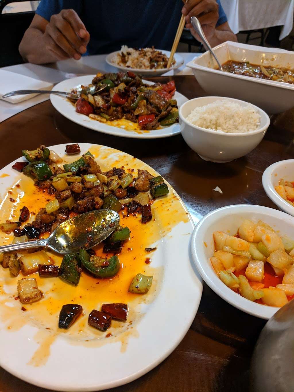 Sichuan Spring Chinese Restaurant | 1167 Raritan Ave, Highland Park, NJ 08904, USA | Phone: (732) 572-9510