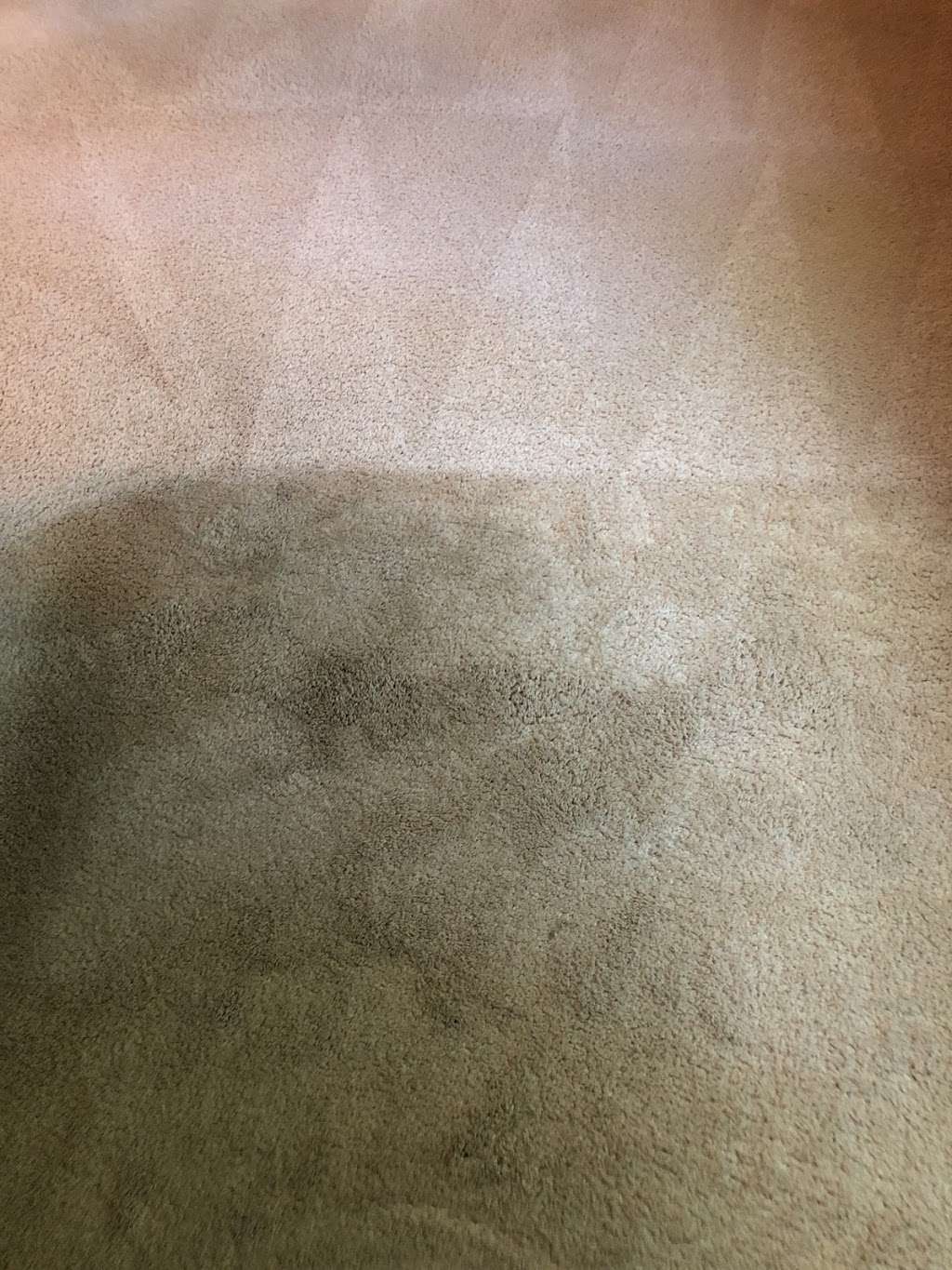 Steves Carpet Clean Rx | 6209 64th St, Kenosha, WI 53142, USA | Phone: (262) 359-9150