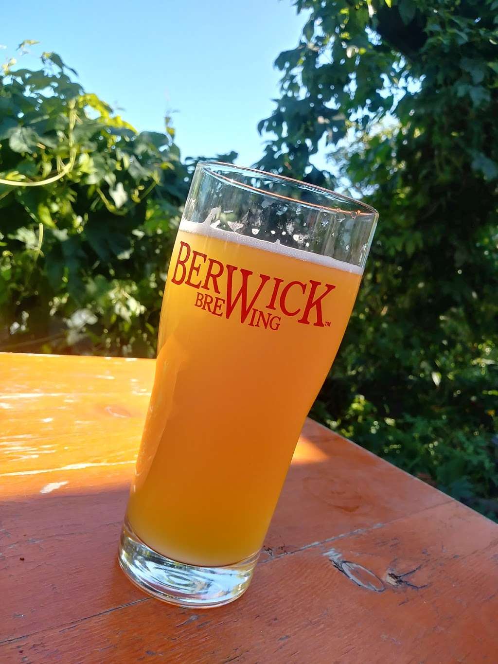 Berwick Brewing Company | 328 W Front St, Berwick, PA 18603, USA | Phone: (570) 752-4313