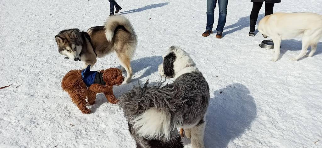 Estabrook Dog Park | Oak Leaf Trail, Milwaukee, WI 53217 | Phone: (414) 257-7275