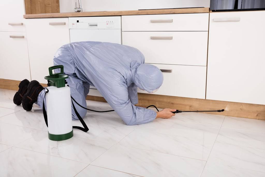 General Pest Control Granite City IL - Ants, Bed Bugs, Mice | 2421 Corporate Center, Granite City, IL 62040, USA | Phone: (618) 205-9617