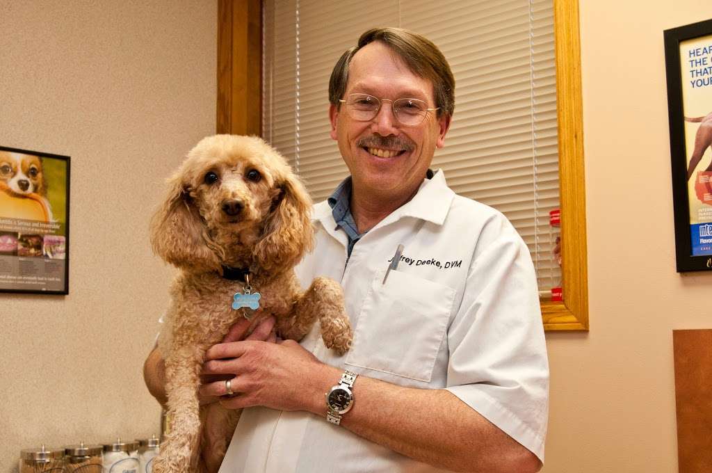 Animal Medical Center of Itasca | 220 Catalpa Ave, Itasca, IL 60143 | Phone: (630) 773-2040