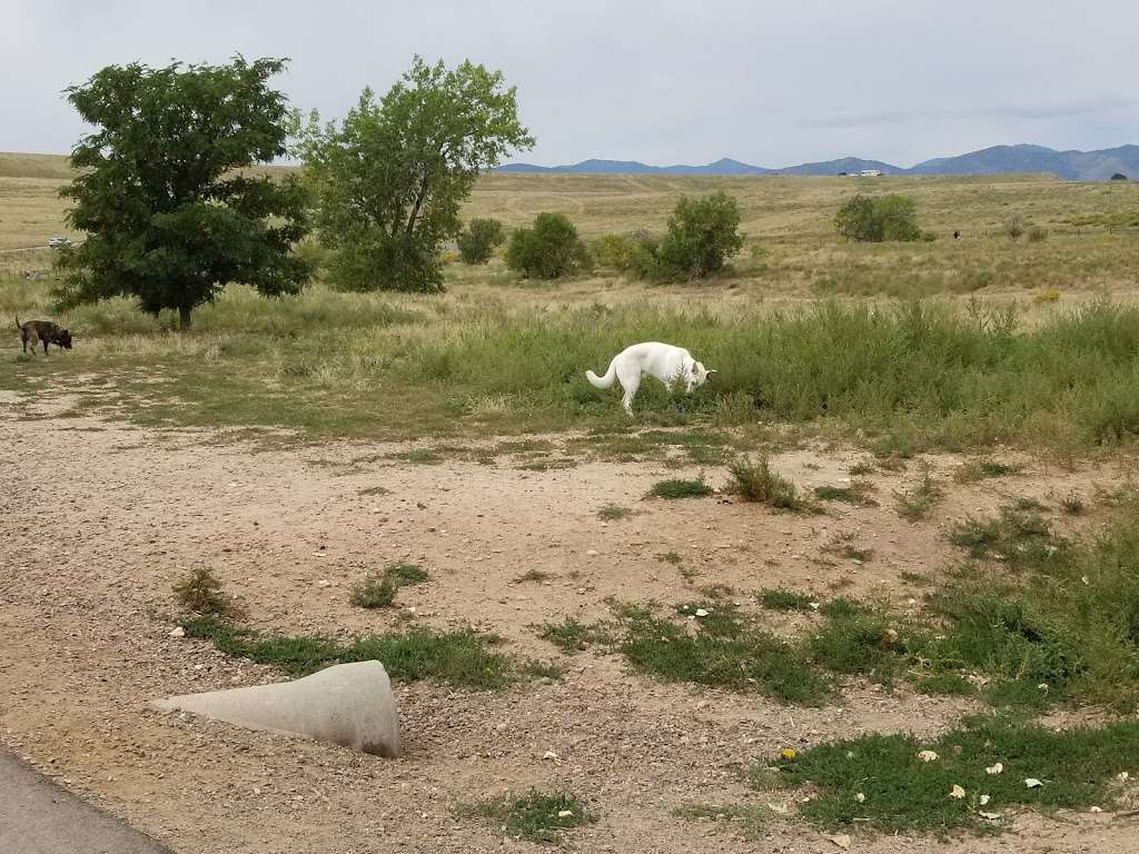 Chatfield Dog Park | Littleton, CO 80125 | Phone: (303) 791-7275