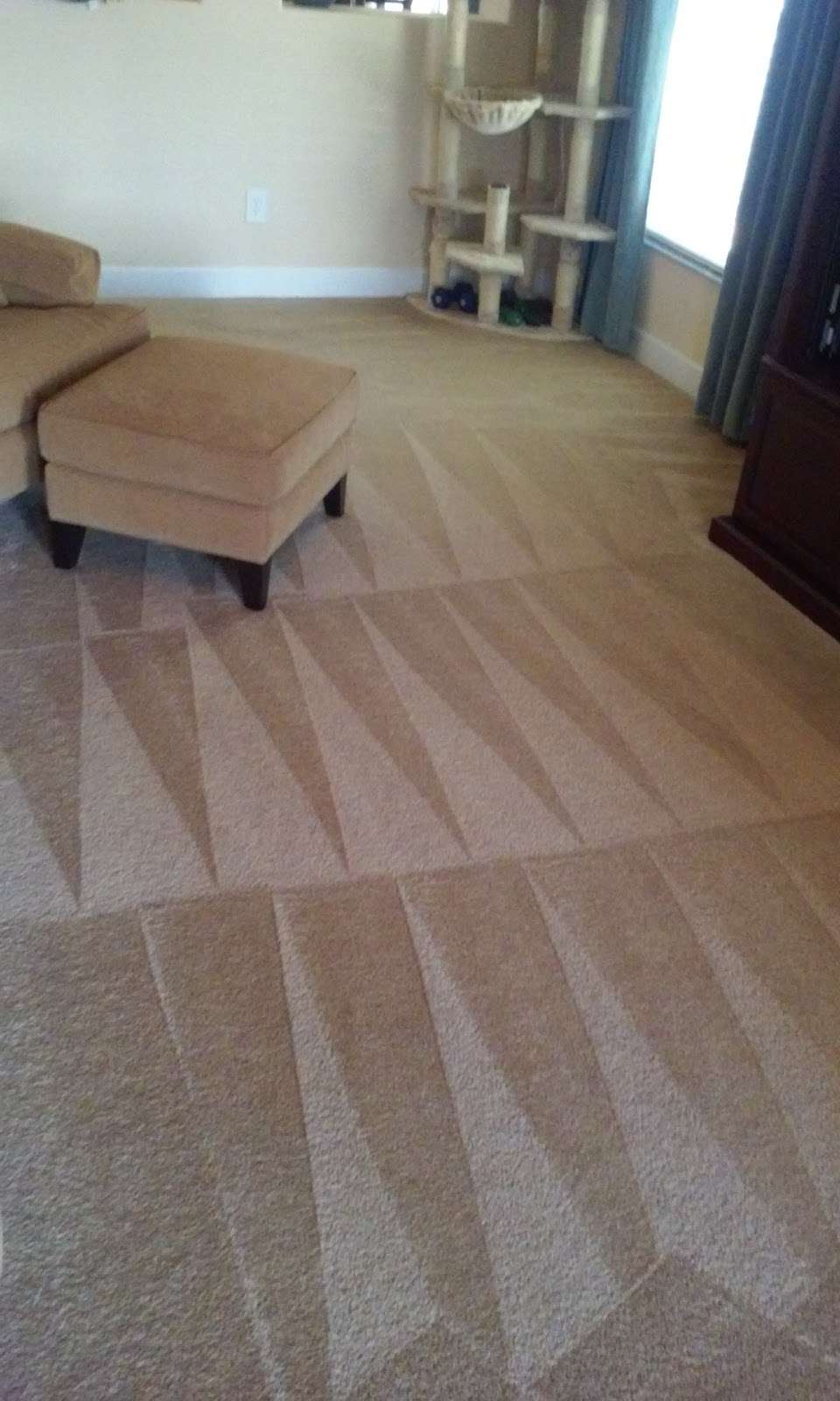 Eco-Steam Carpet Cleaning | 4417 13th St, St Cloud, FL 34769, USA | Phone: (407) 556-5651