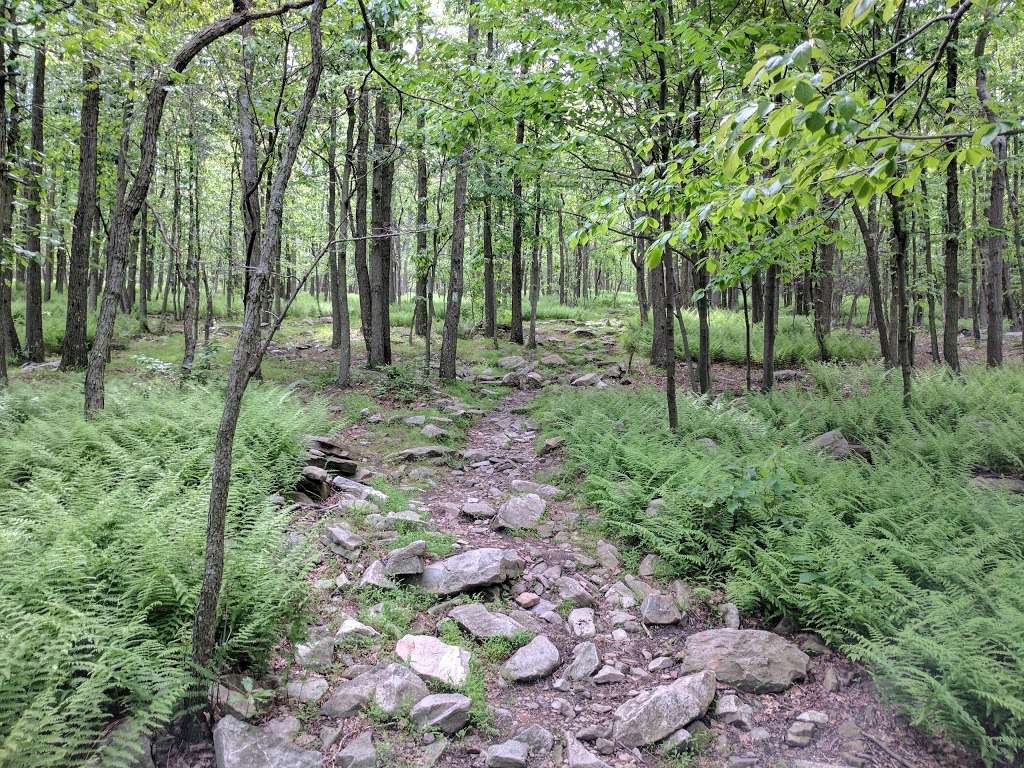 Woodpecker Trailhead | Appalachian Trail, Slatington, PA 18080