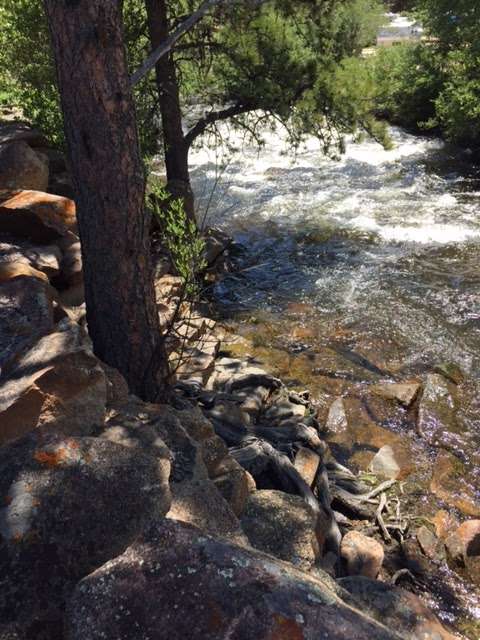 Tiny Town Cabins | 830 Moraine Ave, Estes Park, CO 80517, USA | Phone: (800) 344-3256