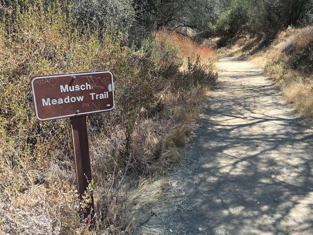Musch Hike In Camp | Topanga, CA 90290, USA | Phone: (310) 455-2465