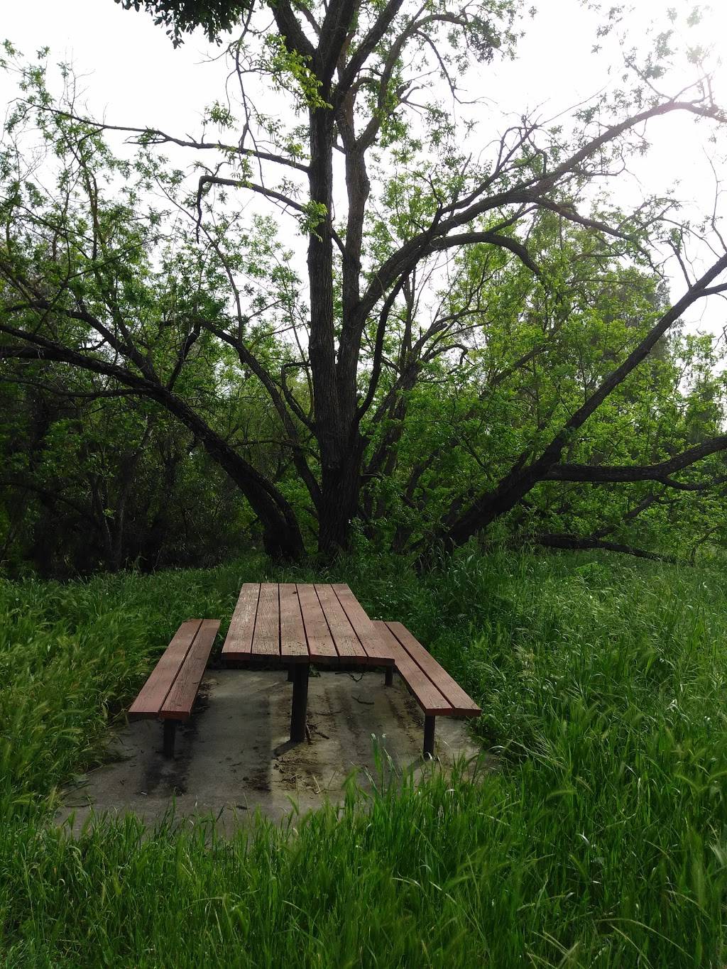 Putah Creek Riparian Reserve | Levee Rd & Brooks Rd, California 95616, Levee Rd, Davis, CA 95616 | Phone: (530) 752-0763