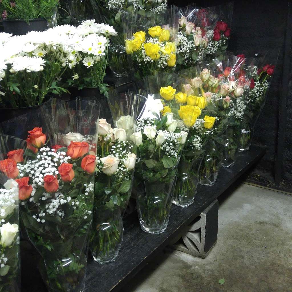 Americas Florist | 227 W Union Ave, Bound Brook, NJ 08805, USA | Phone: (732) 356-9377