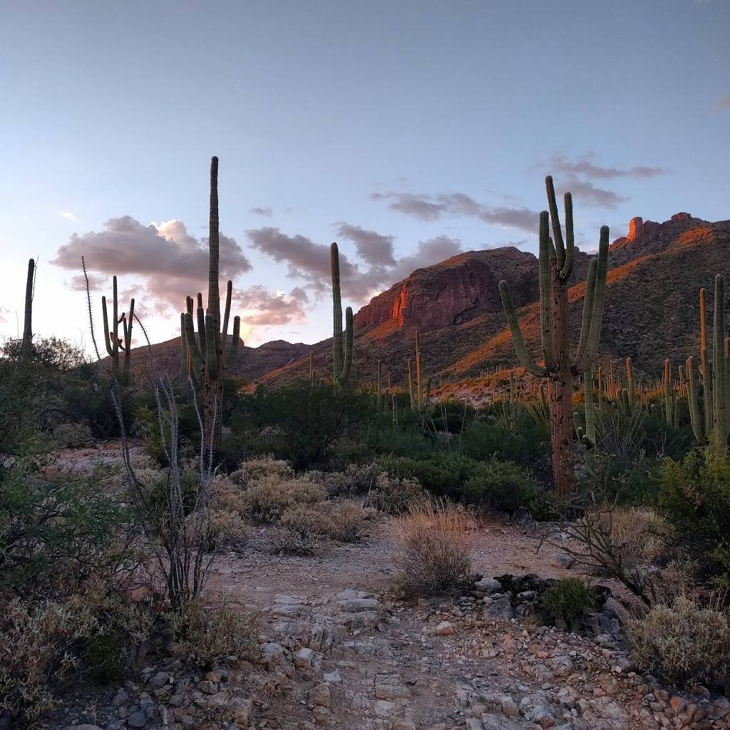 Richard McKee Finger Rock Trailhead | 7119 N Alvernon Way, Tucson, AZ 85718, USA | Phone: (520) 724-2263